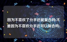 因为不喜欢了分手还能复合吗(不是因为不喜欢分手还可以复合吗)