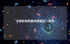 无缝衔接的新欢能超过一年吗