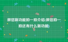 微信新功能拍一拍介绍(微信拍一拍还有什么新功能)