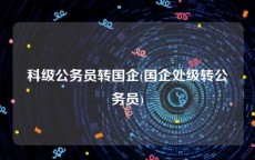 科级公务员转国企(国企处级转公务员)