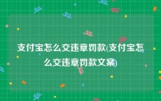 支付宝怎么交违章罚款(支付宝怎么交违章罚款文案)