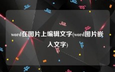 word在图片上编辑文字(word图片嵌入文字)