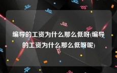 编导的工资为什么那么低呀(编导的工资为什么那么低呀呢)