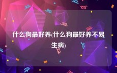 什么狗最好养(什么狗最好养不易生病)