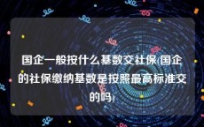 国企一般按什么基数交社保(国企的社保缴纳基数是按照最高标准交的吗)