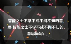 智能之士不学不成不问不知的意思(智能之士不学不成不问不知的意思简写)