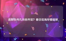 洛阳牡丹几月份开花？春日花海尽情绽放