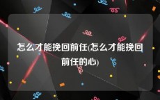 怎么才能挽回前任(怎么才能挽回前任的心)