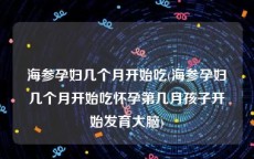 海参孕妇几个月开始吃(海参孕妇几个月开始吃怀孕第几月孩子开始发育大脑)