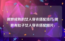 微胖成熟的女人穿衣搭配技巧(微胖有肚子女人穿衣搭配图片)