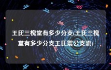 王氏三槐堂有多少分支(王氏三槐堂有多少分支王氏震公支流)