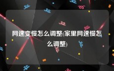 网速变慢怎么调整(家里网速慢怎么调整)