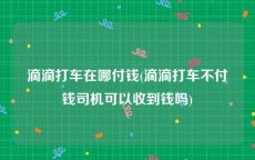 滴滴打车在哪付钱(滴滴打车不付钱司机可以收到钱吗)