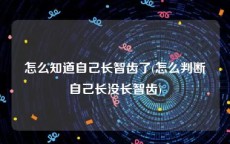 怎么知道自己长智齿了(怎么判断自己长没长智齿)