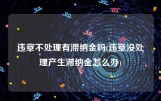 违章不处理有滞纳金吗(违章没处理产生滞纳金怎么办)