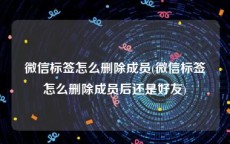 微信标签怎么删除成员(微信标签怎么删除成员后还是好友)