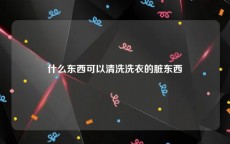 什么东西可以清洗洗衣的脏东西