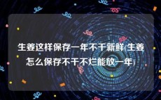 生姜这样保存一年不干新鲜(生姜怎么保存不干不烂能放一年)