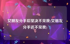 女朋友分手后坚决不见我(女朋友分手还不见我)