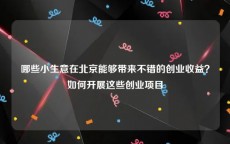 哪些小生意在北京能够带来不错的创业收益？如何开展这些创业项目