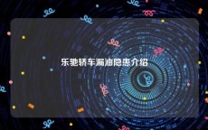 乐驰轿车漏油隐患介绍