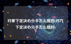 对象下定决心分手怎么挽回(对方下定决心分手怎么挽回)