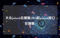 大众polousb在哪里(2013款polousb接口在哪里)