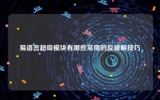 易语言超级模块有哪些常用的反破解技巧