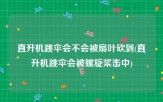 直升机跳伞会不会被扇叶砍到(直升机跳伞会被螺旋桨击中)