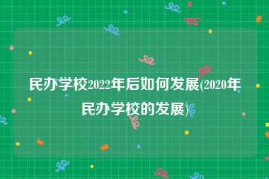 民办学校2022年后如何发展(2020年民办学校的发展)