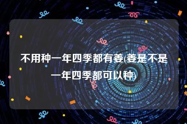 不用种一年四季都有姜(姜是不是一年四季都可以种)