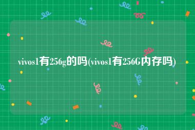 vivos1有256g的吗(vivos1有256G内存吗)