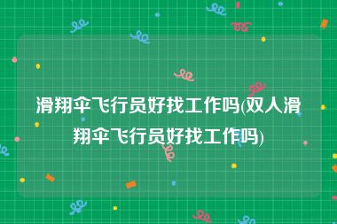 滑翔伞飞行员好找工作吗(双人滑翔伞飞行员好找工作吗)