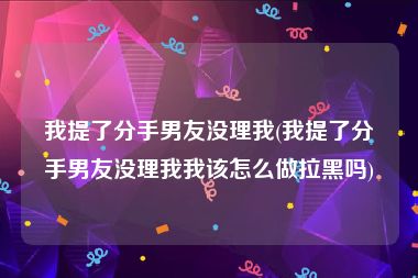 我提了分手男友没理我(我提了分手男友没理我我该怎么做拉黑吗)