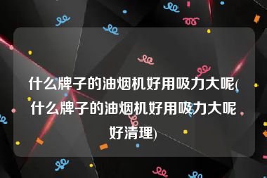 什么牌子的油烟机好用吸力大呢(什么牌子的油烟机好用吸力大呢好清理)