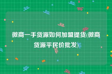 微商一手货源如何加盟提货(微商货源平民价批发)