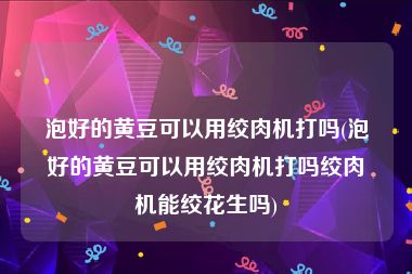 泡好的黄豆可以用绞肉机打吗(泡好的黄豆可以用绞肉机打吗绞肉机能绞花生吗)