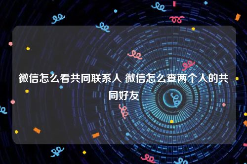 微信怎么看共同联系人 微信怎么查两个人的共同好友