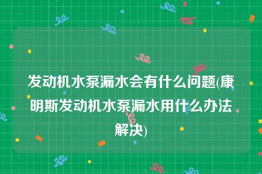 发动机水泵漏水会有什么问题(康明斯发动机水泵漏水用什么办法解决)