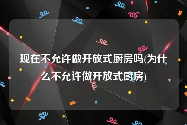 现在不允许做开放式厨房吗(为什么不允许做开放式厨房)