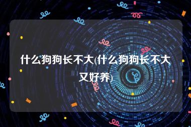 什么狗狗长不大(什么狗狗长不大又好养)