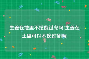 生姜在地里不挖能过冬吗(生姜在土里可以不挖过冬吗)