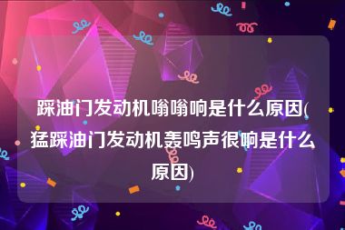 踩油门发动机嗡嗡响是什么原因(猛踩油门发动机轰鸣声很响是什么原因)