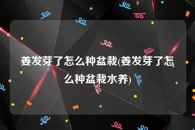 姜发芽了怎么种盆栽(姜发芽了怎么种盆栽水养)