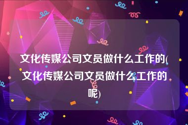 文化传媒公司文员做什么工作的(文化传媒公司文员做什么工作的呢)