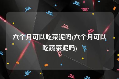 六个月可以吃菜泥吗(六个月可以吃蔬菜泥吗)