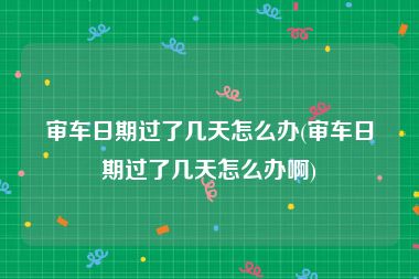 审车日期过了几天怎么办(审车日期过了几天怎么办啊)