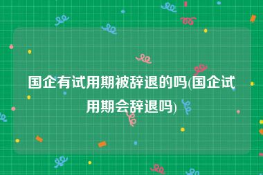 国企有试用期被辞退的吗(国企试用期会辞退吗)