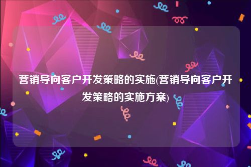 营销导向客户开发策略的实施(营销导向客户开发策略的实施方案)