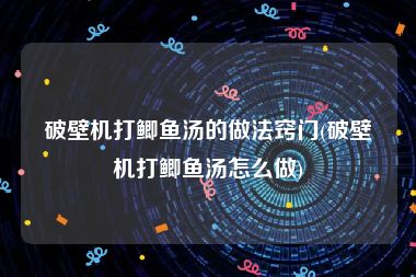 破壁机打鲫鱼汤的做法窍门(破壁机打鲫鱼汤怎么做)